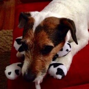 Meet your Posher, John